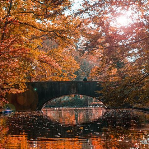 Eine Brücke über einen See in Köln bei Herbstfärbung
