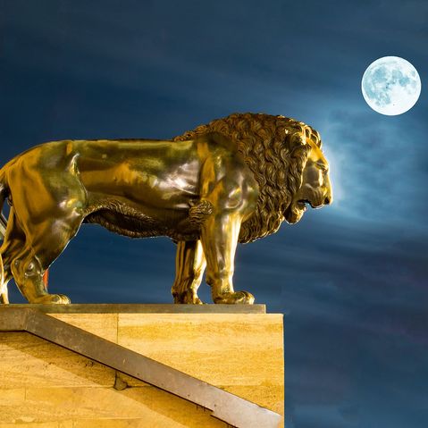 Eine Löwenstatur in Darmstadt Hessen bei Nacht