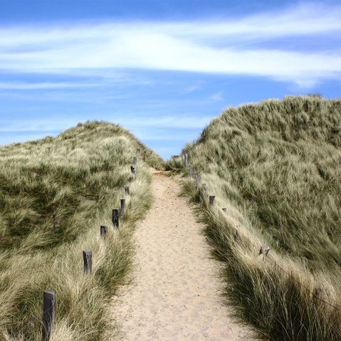 Der Sandstrand der Insel Sylt